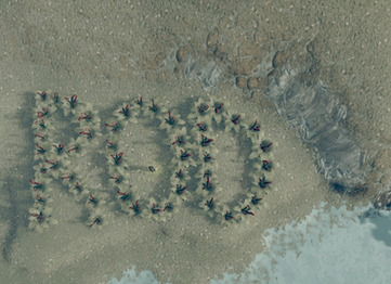 hortus 11