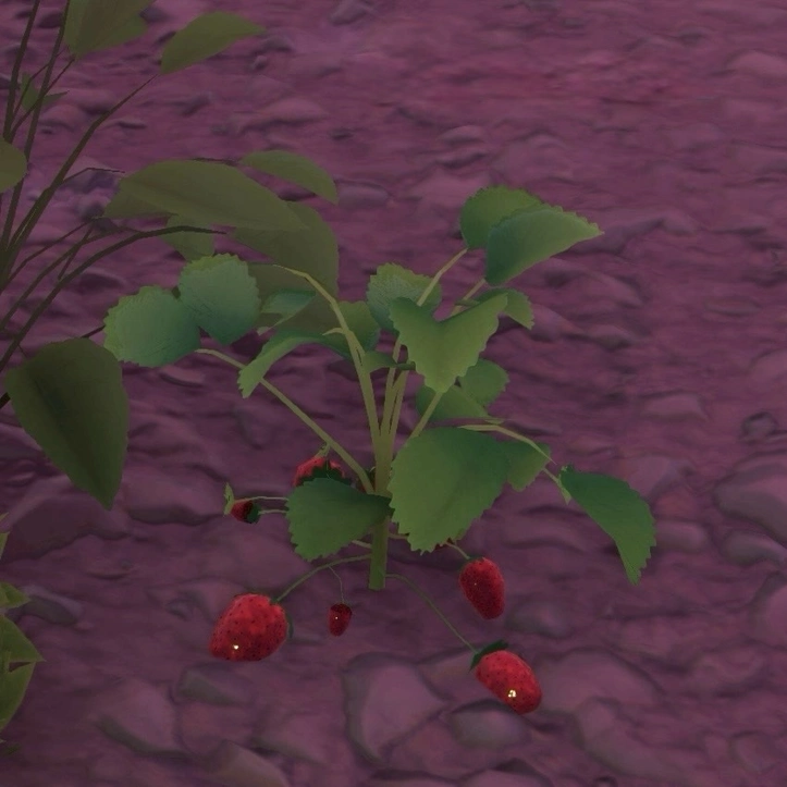 strawberry